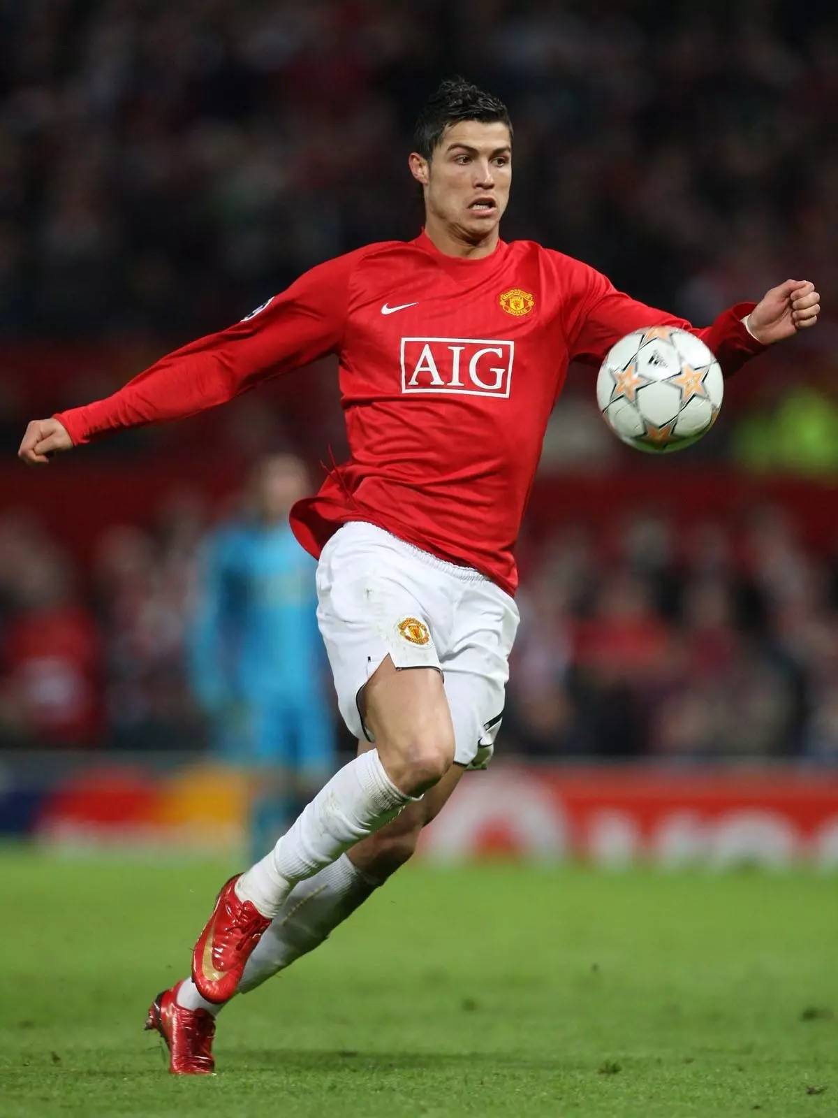 施减少滑翔 施减少滑翔