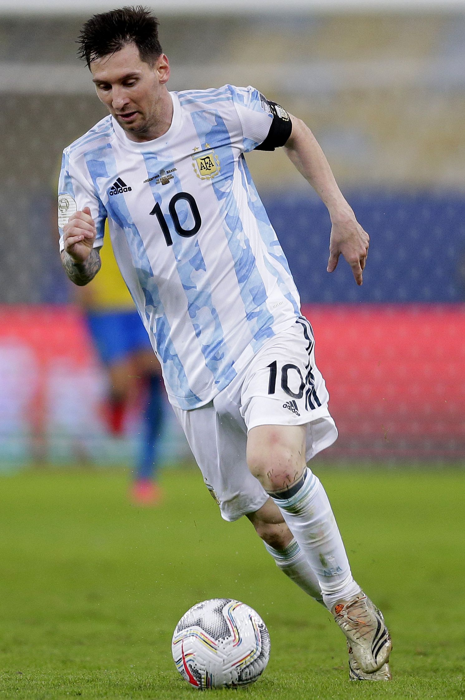 这不仅体现 这不仅体现